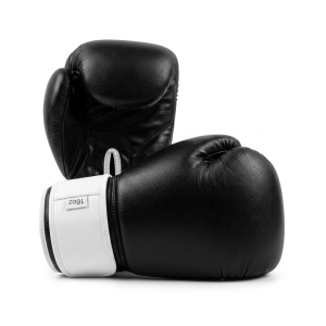 Premium Sparring Gloves